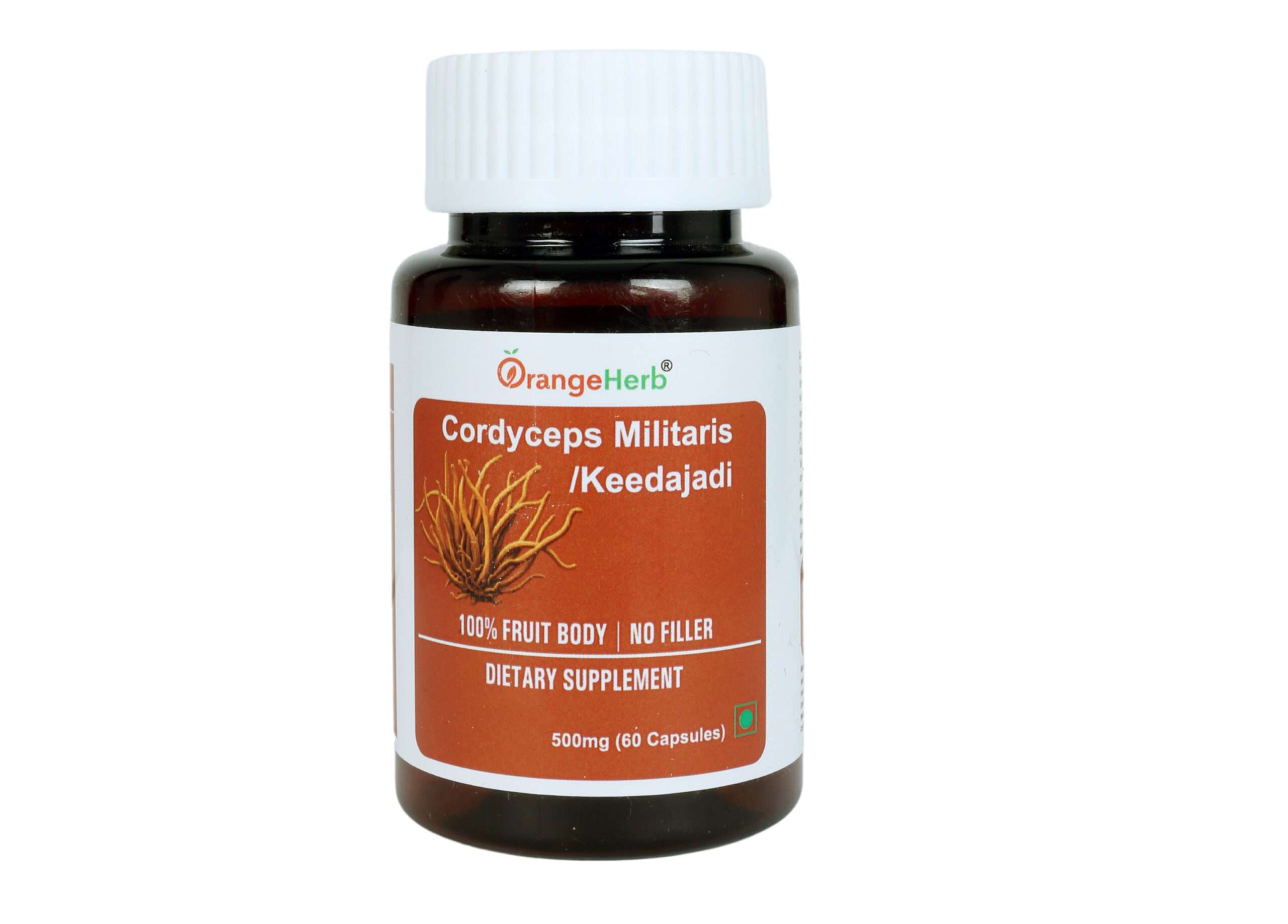 Cordyceps militaris